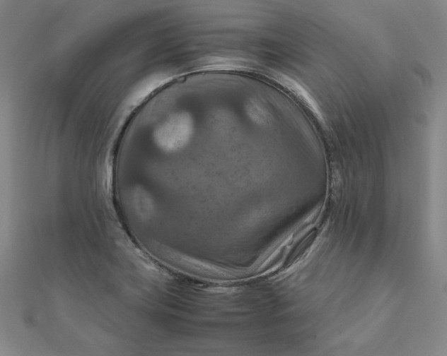 X0000111901419200908101131