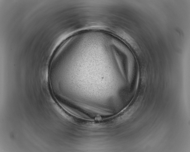 X0000111901420200908101131