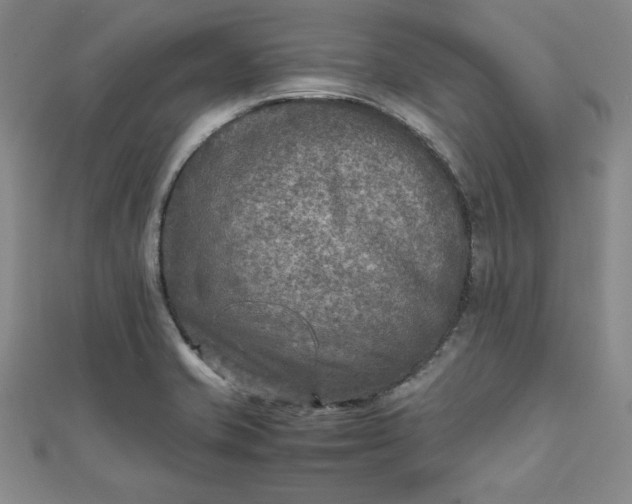 X0000111901421200908101131