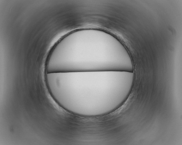 X0000111901422200908101131