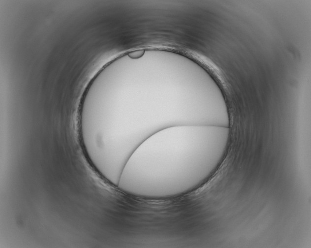 X0000111901423200908101131