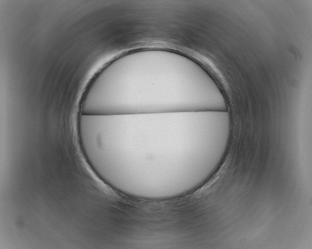 X0000111901424200908101131