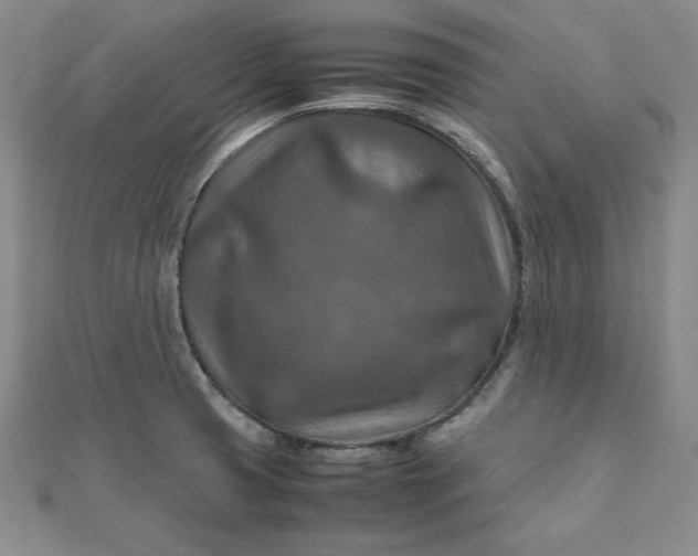 X0000111901425200908101131