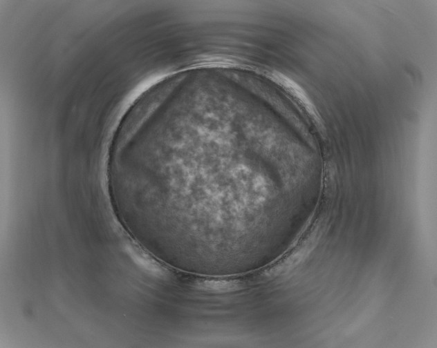 X0000111901427200908101131