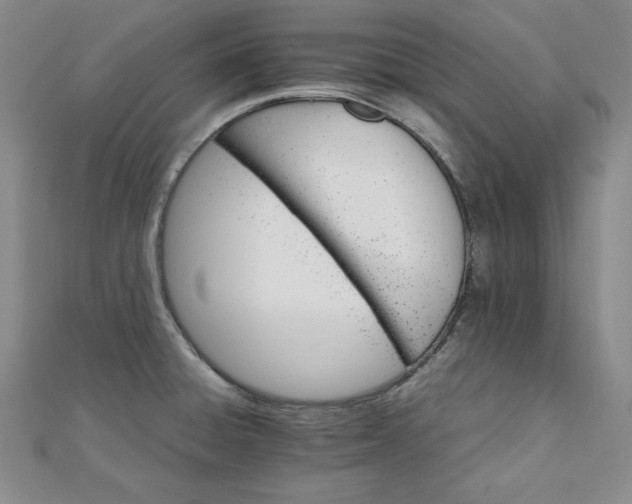 X0000111901428200908101131