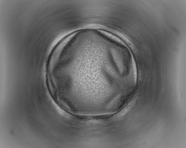 X0000111901430200908101131