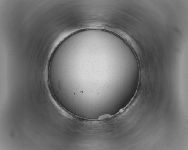 X0000111901432200908101131