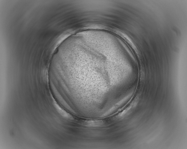 X0000111901433200908101131