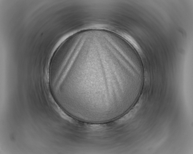 X0000111901436200908101131