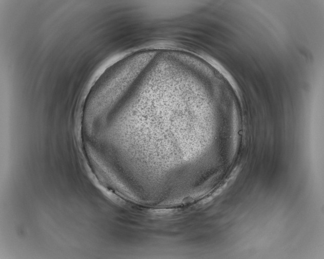 X0000111901437200908101131