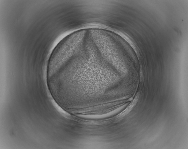 X0000111901438200908101131