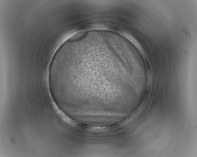 X0000111901439200908101131