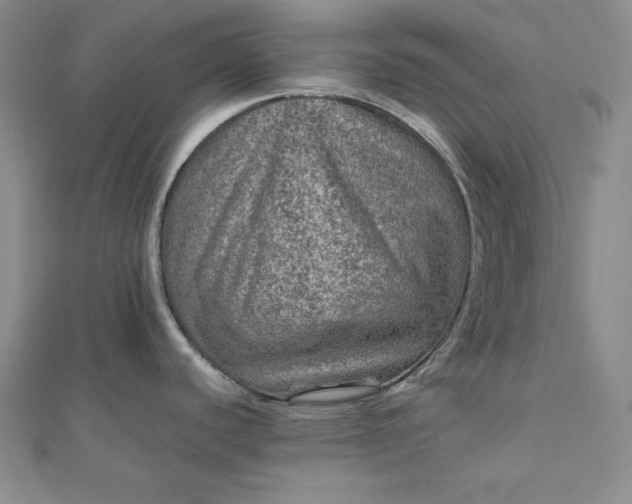 X0000111901440200908101131