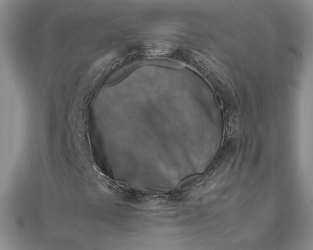 X0000111901441200908101131