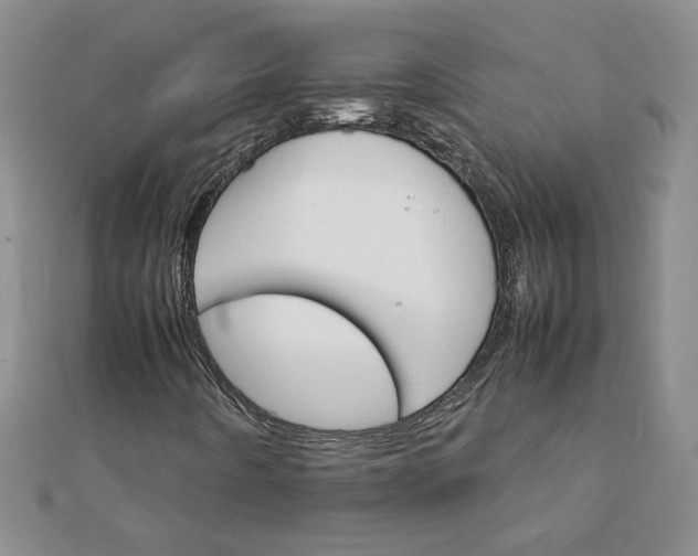 X0000111901442200908101131