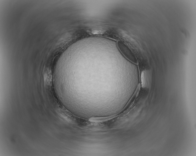 X0000111901443200908101131