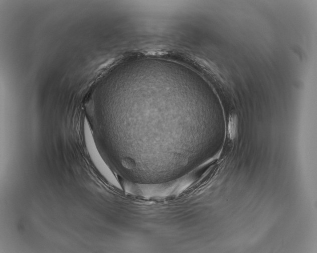 X0000111901444200908101131