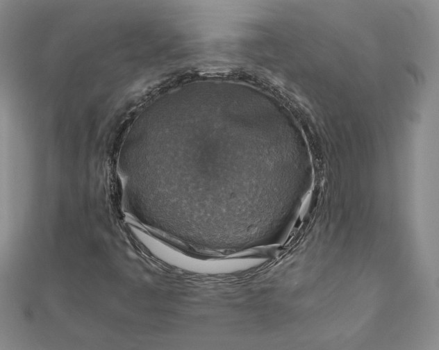 X0000111901445200908101131