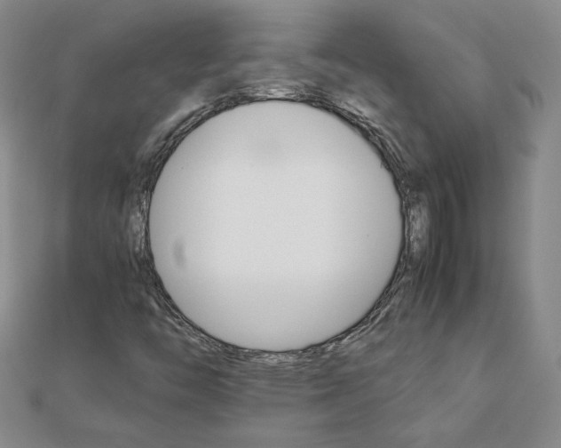 X0000111901446200908101131