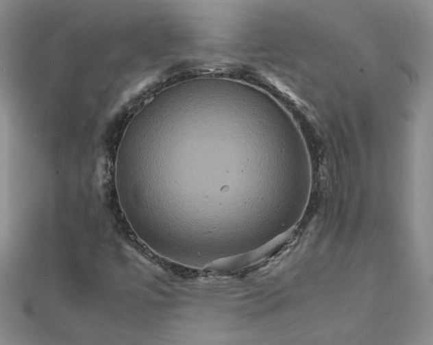 X0000111901447200908101131