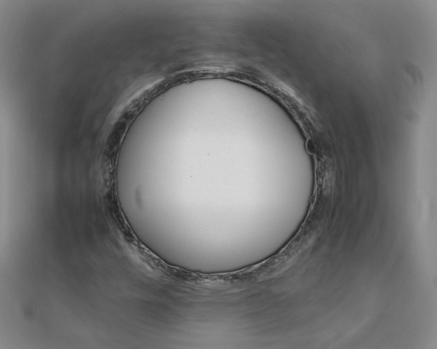 X0000111901448200908101130