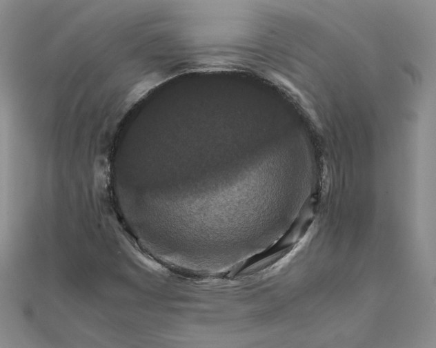 X0000111901449200908101130