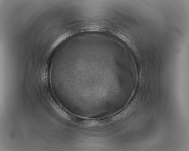 X0000111901450200908101130