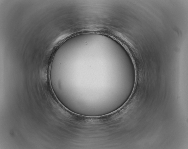 X0000111901451200908101130