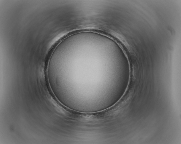 X0000111901452200908101130