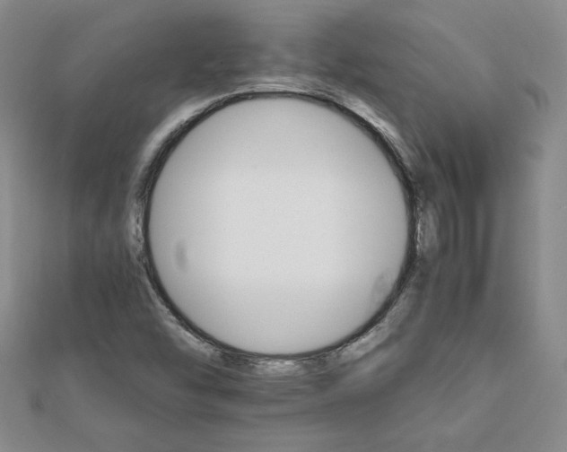 X0000111901454200908101130