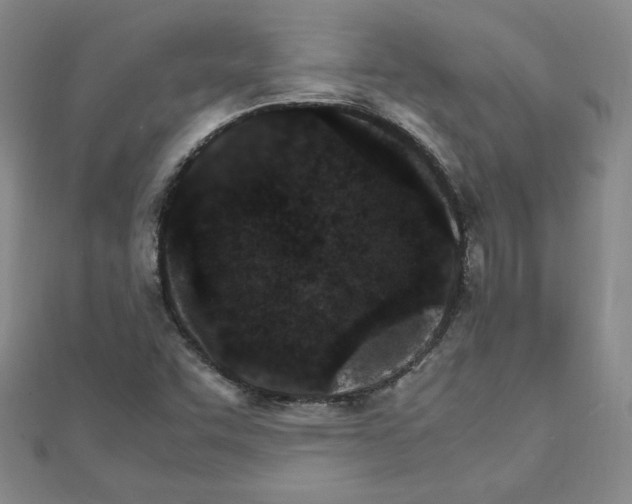 X0000111901455200908101130