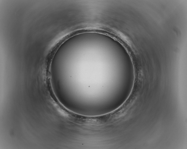 X0000111901456200908101130