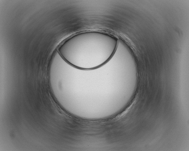 X0000111901457200908101130