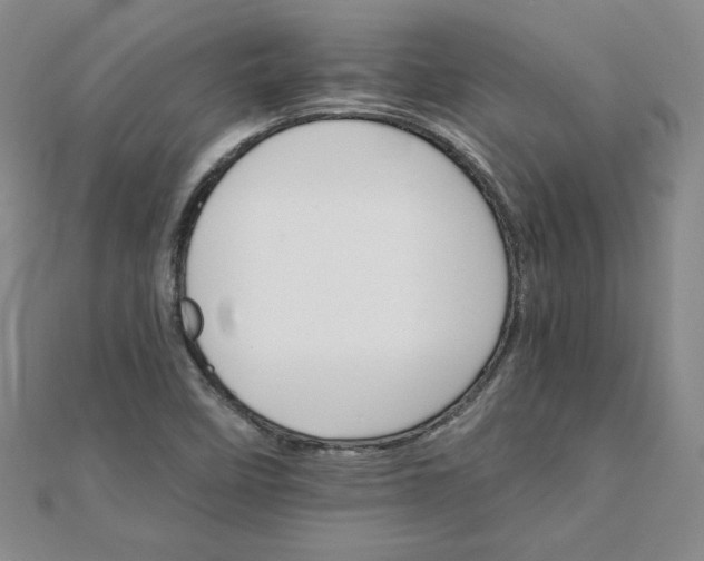 X0000111901458200908101130