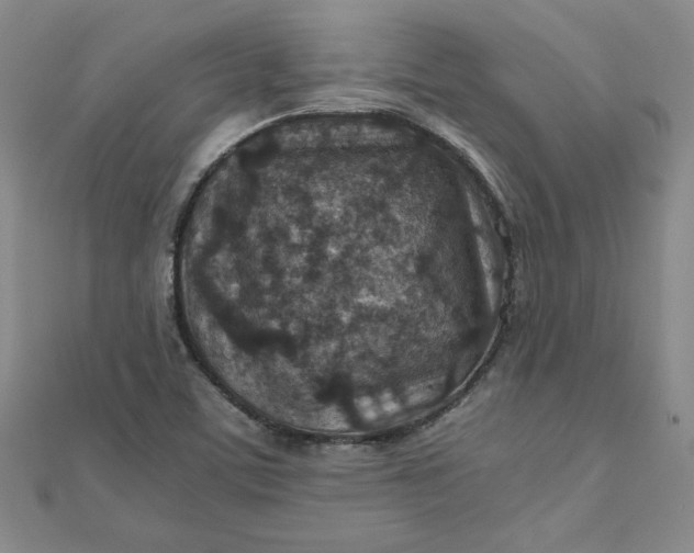 X0000111901459200908101130