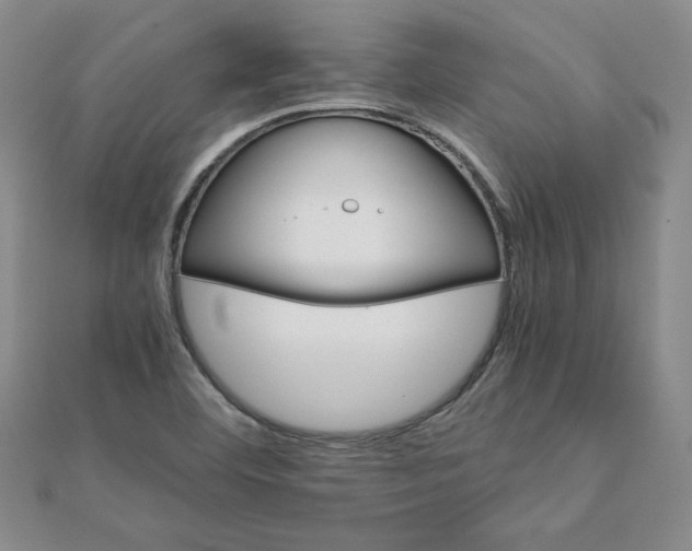 X0000111901460200908101130