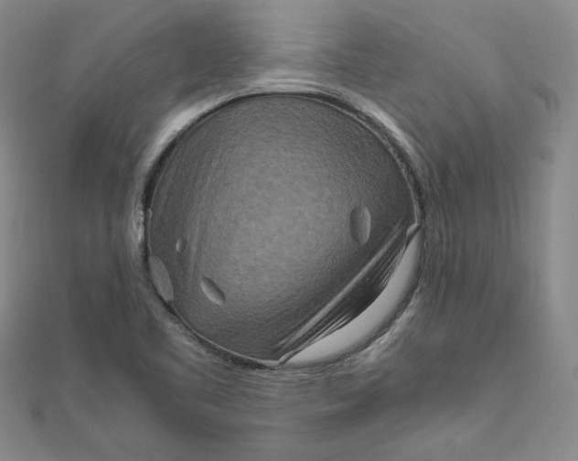 X0000111901461200908101130