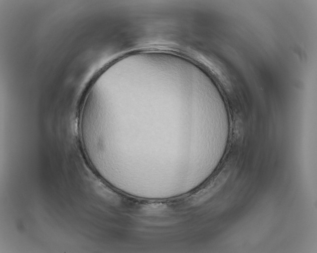 X0000111901462200908101130