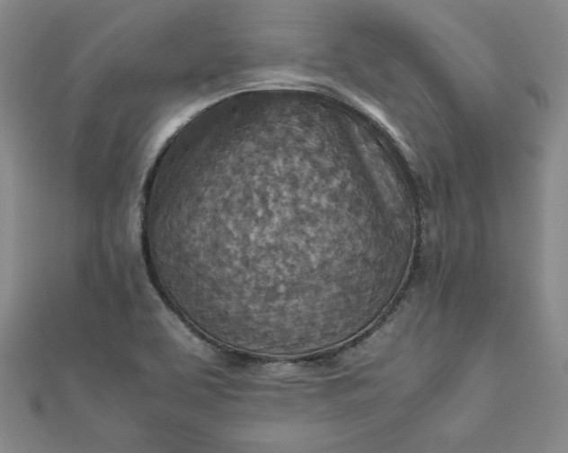 X0000111901463200908101130