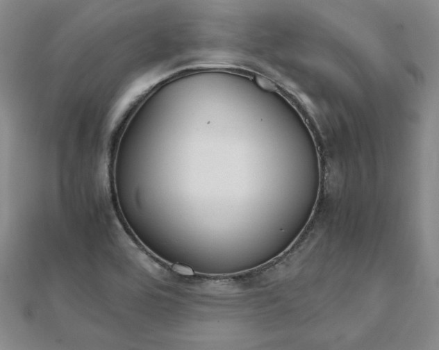 X0000111901464200908101130