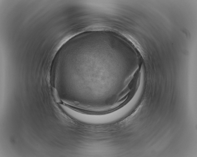 X0000111901465200908101130