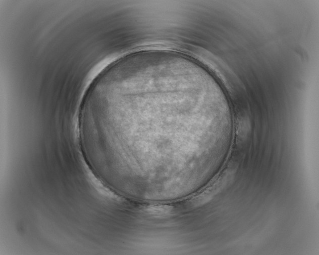 X0000111901466200908101130