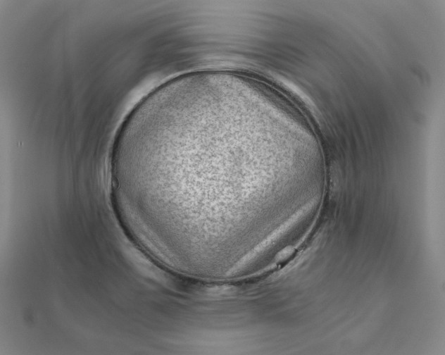 X0000111901467200908101130