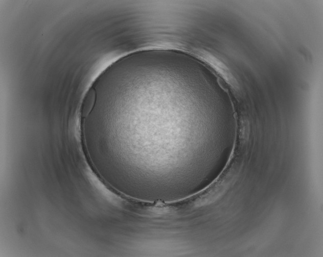 X0000111901468200908101130