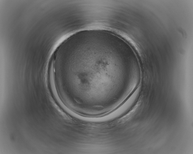 X0000111901469200908101130