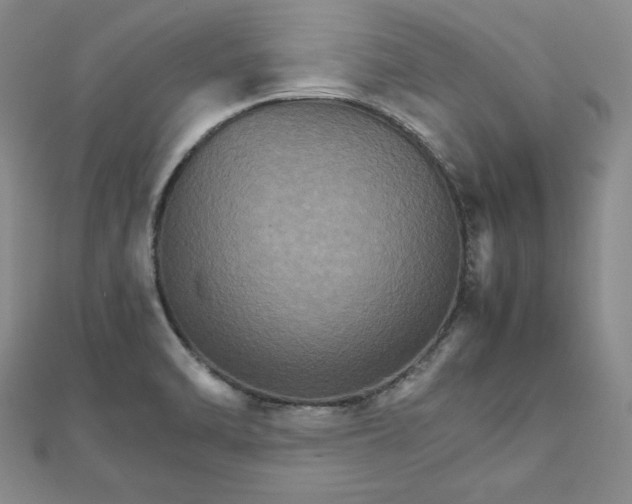 X0000111901470200908101130