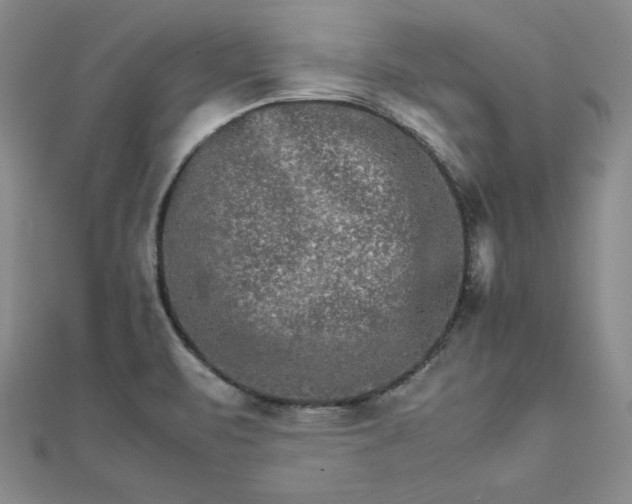 X0000111901471200908101130