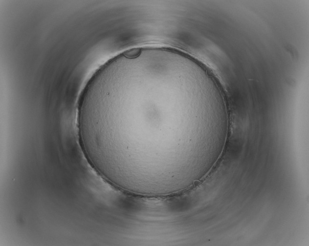 X0000111901472200908101130