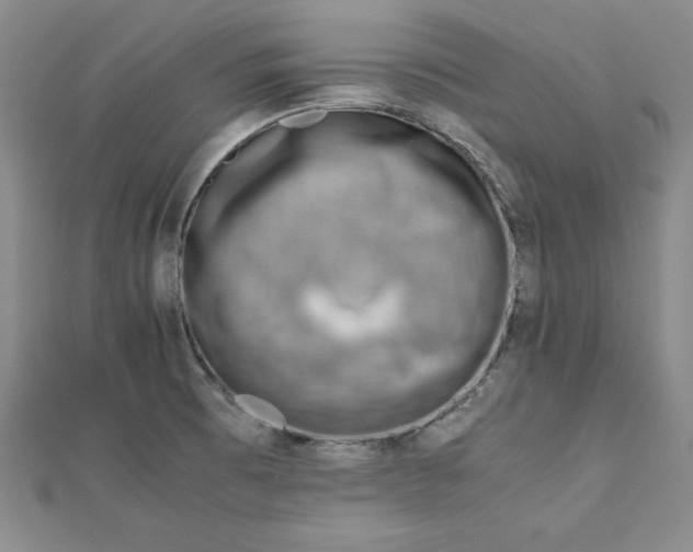 X0000111901473200908101130