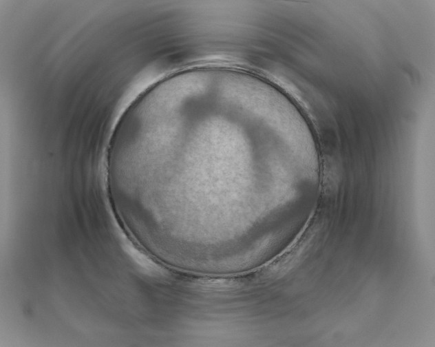 X0000111901474200908101130